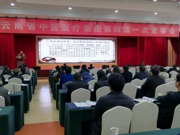 建水縣中醫(yī)醫(yī)院在云南省中醫(yī)醫(yī)療集團四屆一次董事會上作經(jīng)驗交流(圖1)
